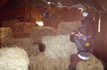 Camp 2000